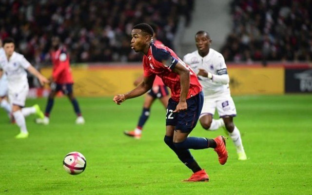 样滑冰的认 样滑冰的认