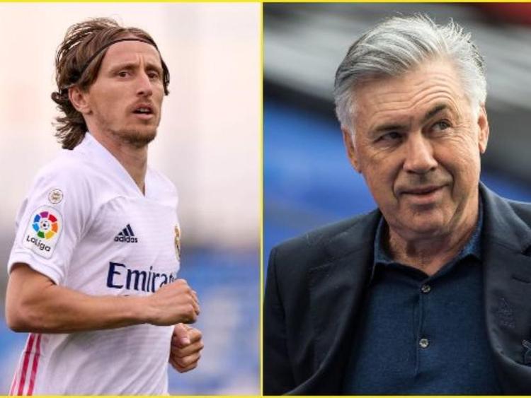 以适应新的 以适应新的