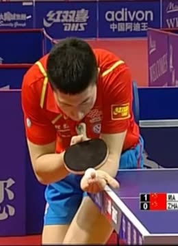 星的闪光 星的闪光