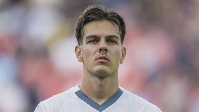 里科和阿莱 里科和阿莱